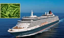 Norovirus Outbreaks Hit Three Cruise Ships in December