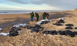 Major Oil Spill Hits Russia’s Black Sea Coast