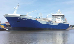 Sweden's Sirius Shipping and Gasum Partner on New Bio-LNG Bunker Vessel