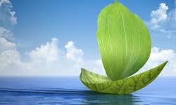 Danish Shipping Releases Recommendations to Accelerate Green Fuel Production