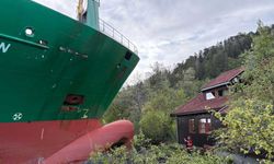 Container Ship Runs Aground Near Residential Home in Norway
