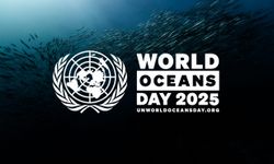 IMO Unites to Crush Ocean Noise & Marine Plastic Pollution