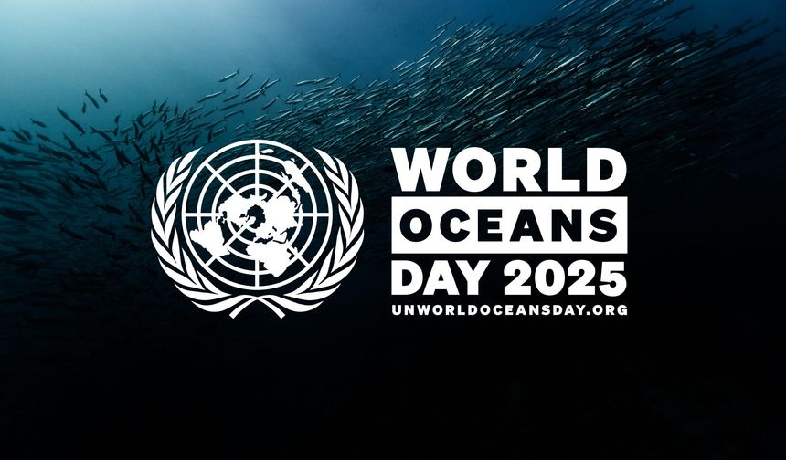 IMO Unites to Crush Ocean Noise & Marine Plastic Pollution