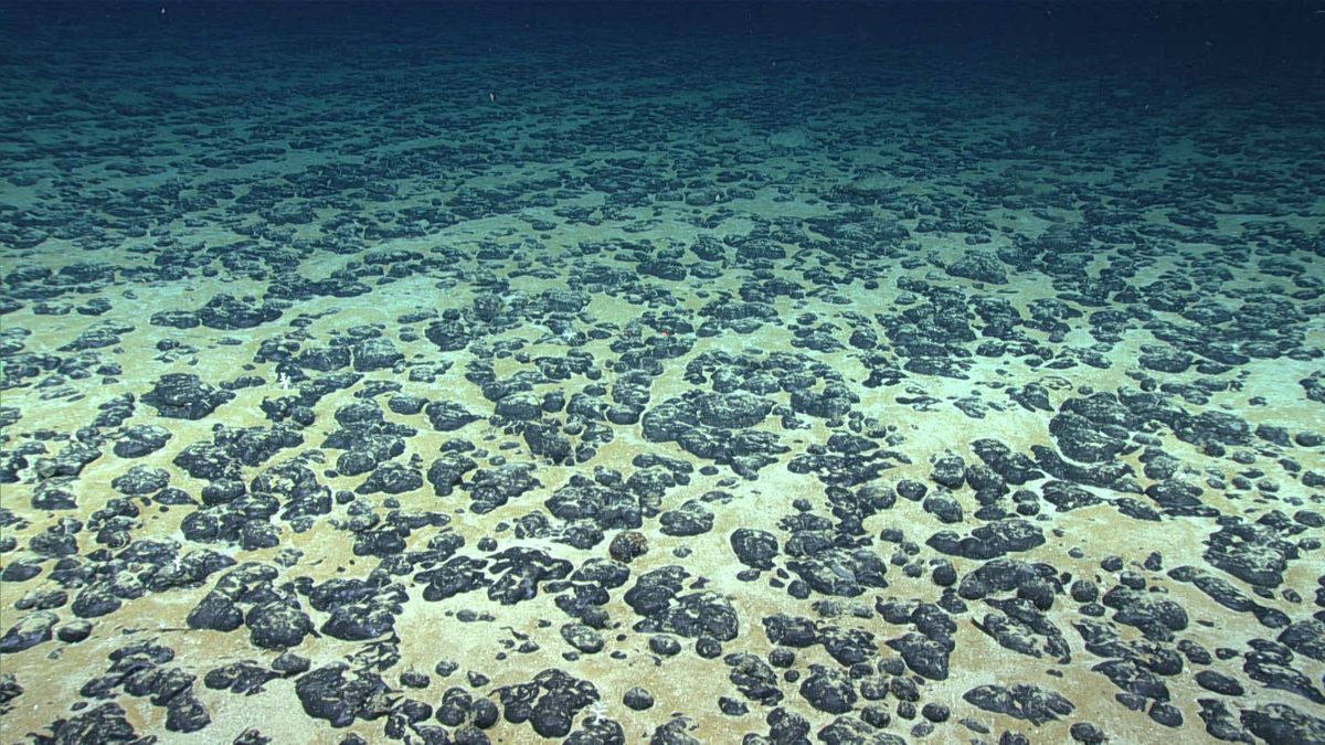 img src: https://www.livescience.com/planet-earth/rivers-oceans/discovery-of-dark-oxygen-from-deep-sea-metal-lumps-could-trigger-rethink-of-origins-of-life