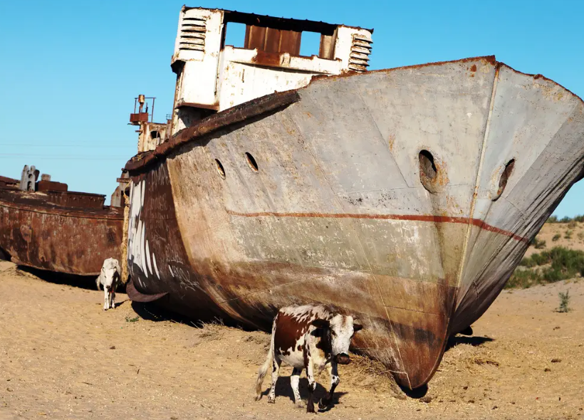 img src: https://www.businessinsider.com/moynaq-ship-graveyard-uzbekistan-desert-2017-1