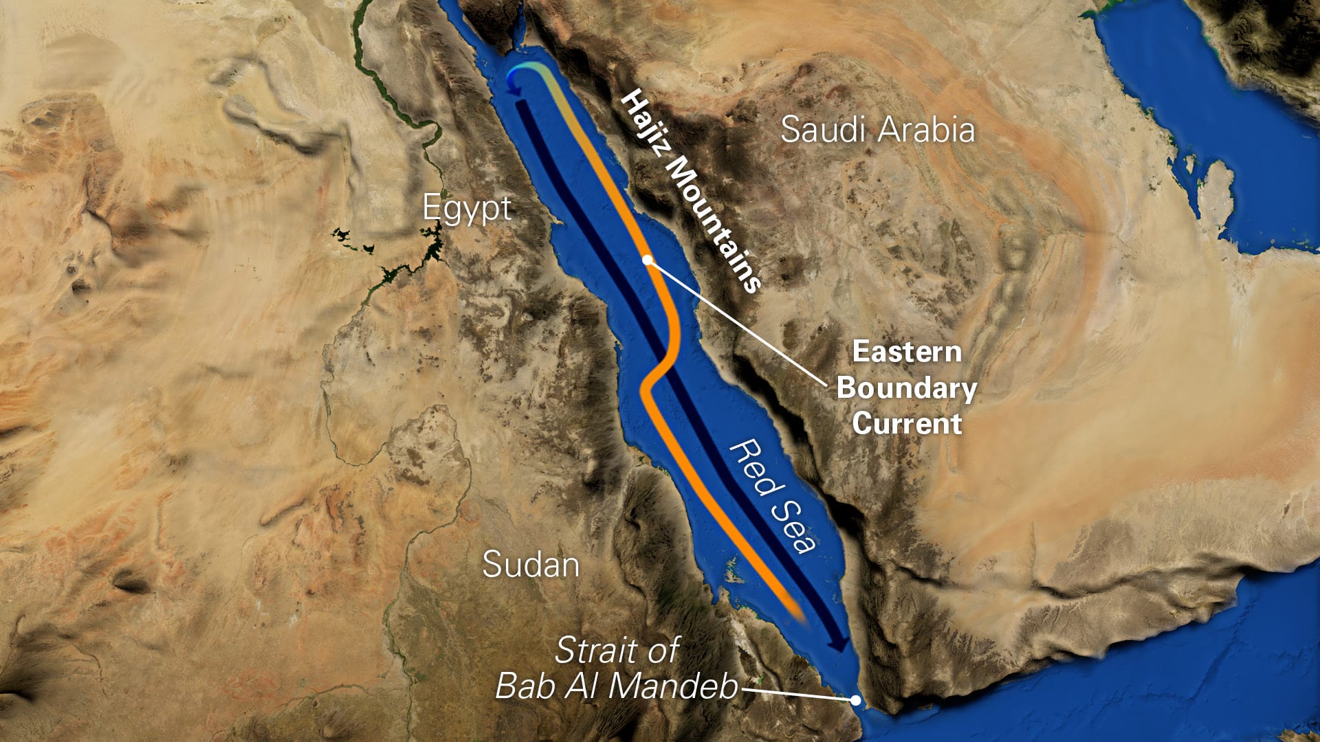 https://www.whoi.edu/oceanus/feature/mysteries-of-the-red-sea/